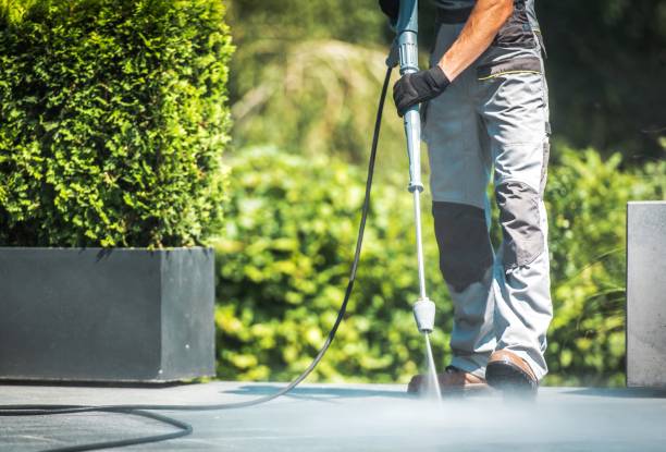 Best Spring Cleaning  in Narrows, VA